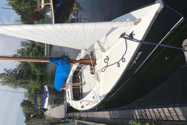 Prachtige Polyvalk Frijheid te Koop in Vinkeveen