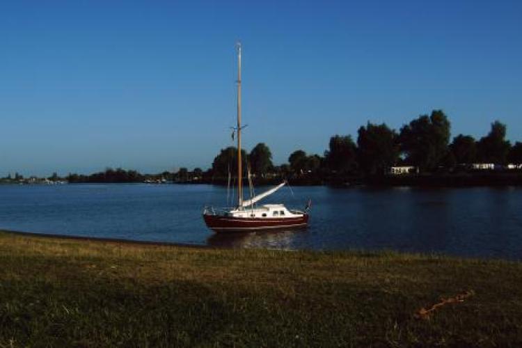Biesboskruiser